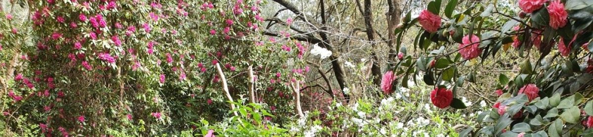 Upper Yarra Valley Garden Club Inc